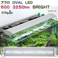 Aqullo（アクロ） OVAL LED 600 3250lm BRIGHT Series 60cm水槽用照明 ...