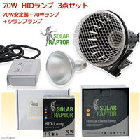 ZENSUI（ゼンスイ） ソーラーラプター HIDランプ 70W 70W安定器+70Wランプ+クランプランプ 274538 1個（直送品）