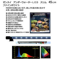 ZENSUI（ゼンスイ） アンダーウォーターLED スリム 45cm ディープブルー 水槽用照明 水中ライト 海水魚 サンゴ 331249  1個（直送品） - アスクル