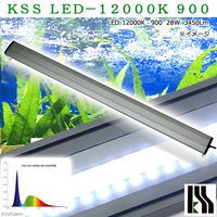 KSS LED-12000K 900 90～100cm水槽用照明 ライト 熱帯魚 333086 1個（直送品）