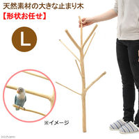 リーフ (大型)天然素材の大きな止まり木 L 土台なし フィリピン産天然木 形状お任せ 376558 1個（直送品）