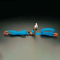 エスコ 50mmx 8.0m/ 750Kg ベルト荷締機(ラチェット式) EA982AB-27 1個（直送品）