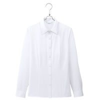 アイトス Pieds 長袖ブラウス ホワイト 23号 HCB2611-001-23（直送品）
