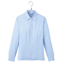 アイトス Pieds 長袖ブラウス ミントブルー 23号 HCB2611-025-23（直送品）