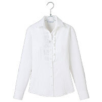 アイトス Pieds 長袖ブラウス ホワイト 21号 HCB2731-001（直送品）