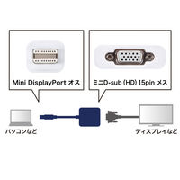 サンワサプライ Mini DisplayPort-VGA変換アダプタ AD-MDPV01 1個