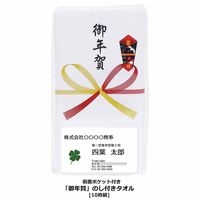 シヤチハタ 御年賀のし付きタオル 10枚組 TNET5PX2 1パック（直送品）