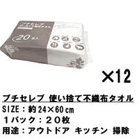 12Zbg ĝă^I 20 20P 24×60cm ЊQp Lv AEghA s ֗  q łiij