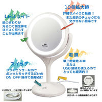 ヤマムラ LEDライトメイクアップミラー10倍拡大鏡&平面鏡 YBM-1717