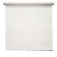 ロールスクリーン 北欧風 TR-1071 1050×400mm ホワイト 1台（直送品）