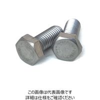 ISO4017 Bumax10.9 六角ボルト M16X55 全ねじ 25本入 小箱 B109BT16X55-25B 1セット(25本)（直送品）
