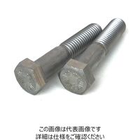 ISO4014 Bumax10.9 六角ボルト M16X80 半ねじ 25本入 小箱 B109BT16X80-25B 1セット(25本)（直送品）