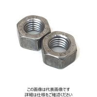 BUMAX ISO4032 Bumax10.9 六角ナット M6 19個入 B109N6-19P 1セット(19本)（直送品）