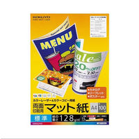 カラーレーザー＆カラーコピー用紙　両面印刷用マット紙　LBP-F1210 1袋 (100枚入)（わけあり品）