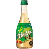 チョーヤ梅酒 CHOYA ウメッシュの素 300ml x12 8034556 1セット(12個)（直送品）