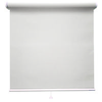 ロールスクリーン 厚手 TR-1085 1450×2400mm ムーングレイ 1台（直送品）