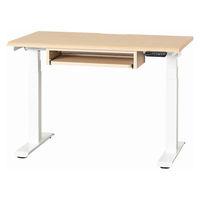 【組立設置込】小島工芸 電動昇降デスク JDEA-110 幅1100×奥行600mm チェリーナチュラル×ホワイト 1台（直送品）