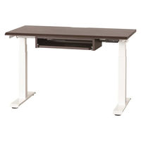 【組立設置込】小島工芸 電動昇降デスク JDEA-120 幅1200×奥行600mm ウッディウェンジ×ホワイト 1台（直送品）