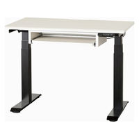 【組立設置込】小島工芸 電動昇降デスク JDEA-100 幅1000×奥行600mm ホワイト×ブラック 1台（直送品）
