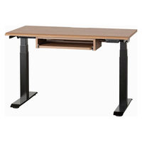 【組立設置込】小島工芸 電動昇降デスク JDEA-120 幅1200×奥行600mm ウォールモカ×ブラック 1台（直送品）