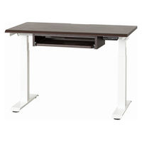 【組立設置込】小島工芸 電動昇降デスク JDEA-110 幅1100×奥行600mm ウッディウェンジ×ホワイト 1台（直送品）