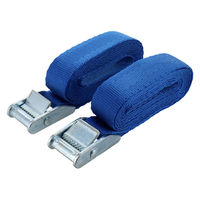 三共コーポレーション TRAD バックルカラー荷締ベルト2本入 25mm×2m TCBー22BL 823970 1セット（直送品）