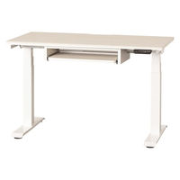 【組立設置込】小島工芸 電動昇降デスク JDEA-120 幅1200×奥行600mm ホワイト 1台（直送品）