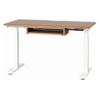【組立設置込】小島工芸 電動昇降デスク JDEA-130 幅1300×奥行600mm ウォールモカ×ホワイト 1台（直送品）