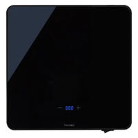 サンコー 「フードウォーマープレートS」ブラック FDWRPSCBK 1台（直送品）