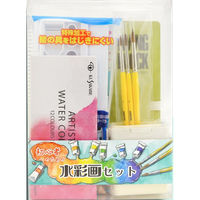 アムス 初心者のための水彩画セット 800200 1個（直送品）