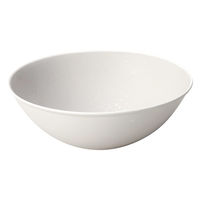 ミヤザキ食器 ボウル 14cm ANGIE アンジー 磁器 マットグレー 415893 1個（直送品）