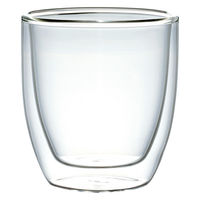 ミヤザキ食器 カップ 250ml DOWBLE WALL ダブルウォール 耐熱ガラス 421505 1個（直送品）