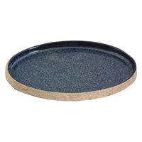 ミヤザキ食器 プレート 21cm M オーバル TOSS 磁器 美濃焼 ネイビー 451594 1個（直送品）
