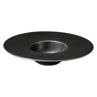 ミヤザキ食器 プレート コスタヴェルデ サトゥルノ グルメプレート 19.2cm ブラック 476151 1個（直送品）