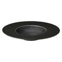 ミヤザキ食器 プレート コスタヴェルデ サトゥルノ グルメプレート 25cm ブラック 476166 1個（直送品）