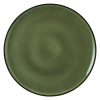 ミヤザキ食器 プレート コスタヴェルデ サトゥルノ プレーンプレート 23.8cm グリーン 476165 1個（直送品）