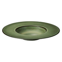 ミヤザキ食器 プレート コスタヴェルデ サトゥルノ グルメプレート 25cm グリーン 476168 1個（直送品）
