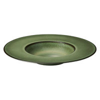 ミヤザキ食器 プレート コスタヴェルデ アングリー グルメプレート 28.8cm グリーン 476177 1個（直送品）
