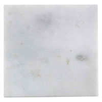 ネクスト ストーンマーブル コースター スクエア 487959 1個（直送品）