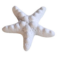 ネクスト アロマストーン シーベース 陶器 ヒトデ 488414 1個（直送品）