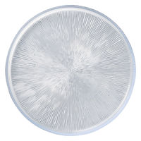 ミヤザキ食器 プレート 25cm 切立プレート M.STYLE フィラ 皿 食器 ガラス製 373033 1個（直送品）