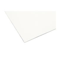 シンコール マグネ映写シート 2m MES-2m 1個（直送品）