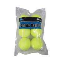 レザックス 硬式テニスボール6P VSTN-6760 1個（直送品）