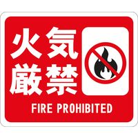 タカハラコーポレーション ビバデザインシート C-1 1袋（直送品）