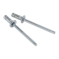 新潟精機 ステンブラインドリベット シールドバルブ 6本入 SSTー542CB 1セット(5個)（直送品）