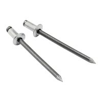 新潟精機 チタンブラインドリベット 2本入 STIー42 1セット(2個)（直送品）