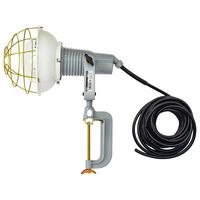 日動工業 NICHIDO レフ球投光器 200V 300W 10m アース付 2PNCT電線 AF-E310PN 1PC（直送品）