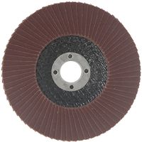 藤原産業 SK11 サンダーディスクA #600 100mm 10枚組 SSDーA600/10 1セット(3組)（直送品）