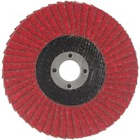 藤原産業 SK11 サンダーディスクS #40 100mm 10枚組 SSDーS040/10 1組（直送品）