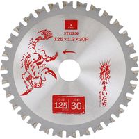 藤原産業 SK11 充電かまいたち 鉄工用チップソー 125×30P ST125ー30 1セット(2枚)（直送品）